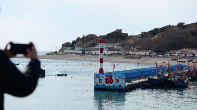 “渤海前哨”的海岛年味