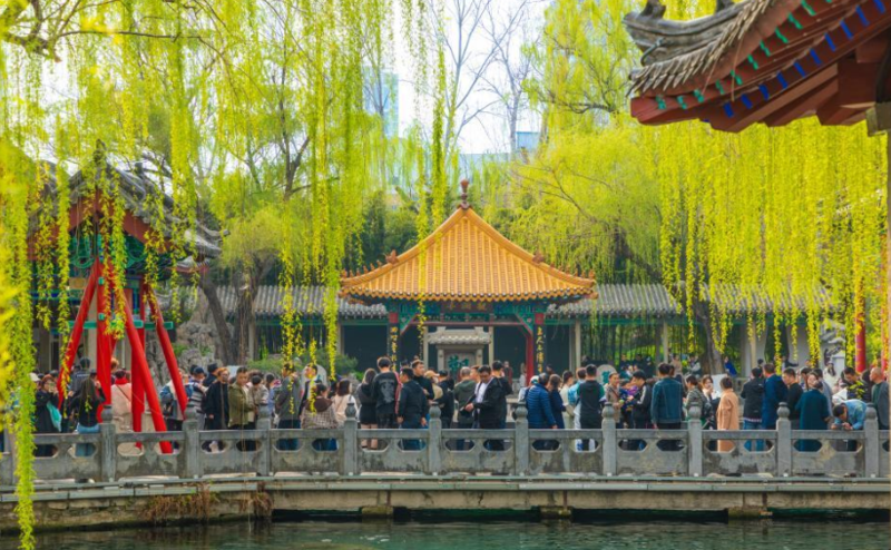 诗意中国——万条垂下绿丝绦
