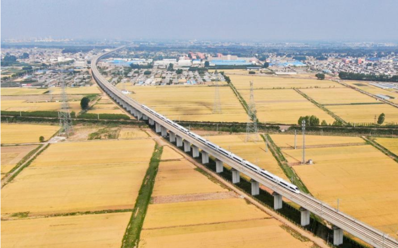 山东临沂：喜看麦熟遍地金