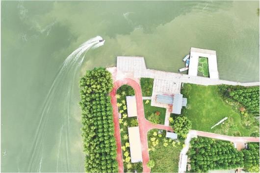 山东鱼台惠河湿地：游客泛舟观光